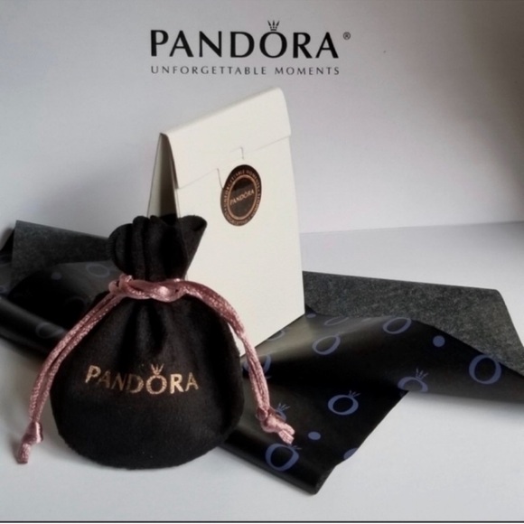 Radiant Teardrop Pandora Charm - Picture 5 of 5